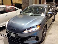 بي واي دي سيليون 06 DM-i